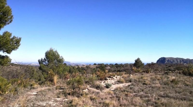 Alicante - Jalón - 34833m2
