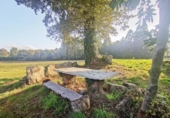 Finca rústica en venda a la España, Guitiriz, ref.: TR155464 foto
