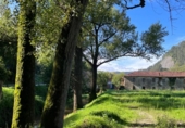 Finca rústica en venda a la España, Los Corrales de Buelna, ref.: TR299628 foto