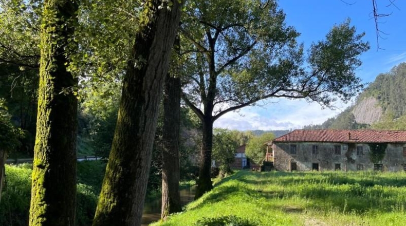 Cantabria - Rivero - 3000m2