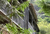 Finca rústica en venda a la España, Los Corrales de Buelna, ref.: TR299628 foto