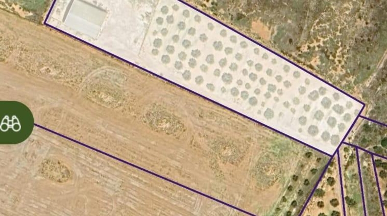 Múrcia - Фуэнте Аламо де Мурсия - 7500m2