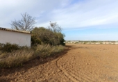Casa de camp amb terreny en venda a la España, Puerto Real, ref.: TR353967 foto