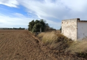 Casa de camp amb terreny en venda a la España, Puerto Real, ref.: TR353967 foto