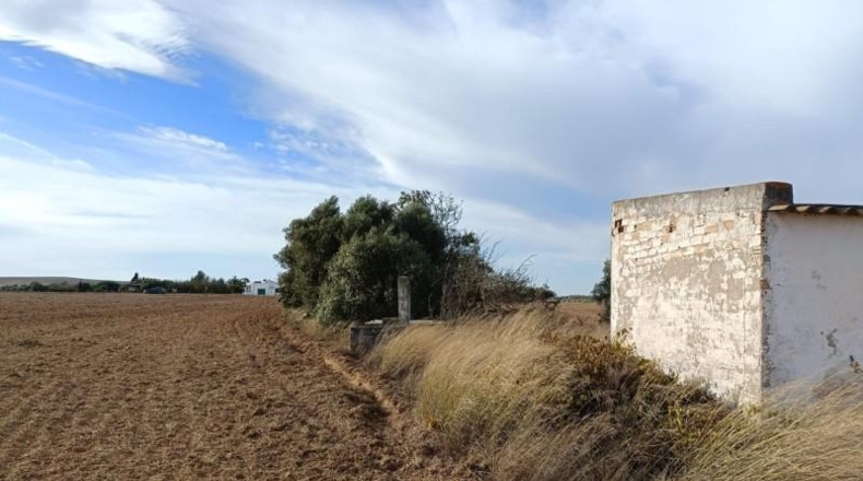Cadiz - Пуэрто-Реаль - 33200m2