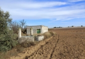Casa de camp amb terreny en venda a la España, Puerto Real, ref.: TR353967 foto