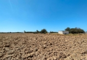 Casa de camp amb terreny en venda a la España, Puerto Real, ref.: TR353967 foto