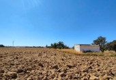 Casa de camp amb terreny en venda a la España, Puerto Real, ref.: TR353967 foto