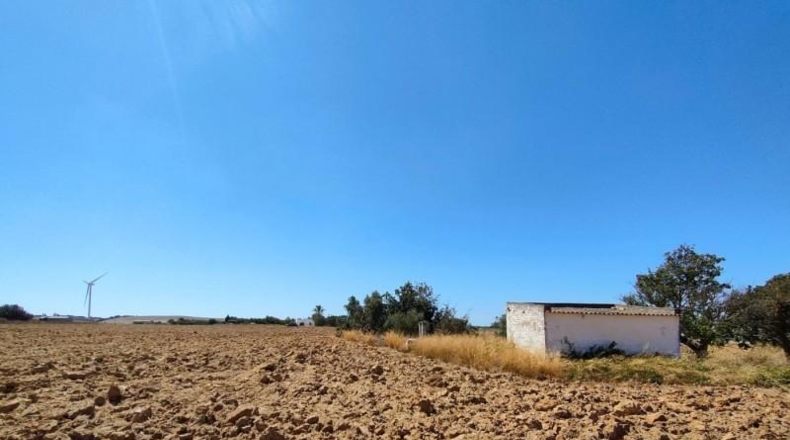 Cadiz - Пуэрто-Реаль - 33200m2