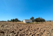 Casa de camp amb terreny en venda a la España, Puerto Real, ref.: TR353967 foto