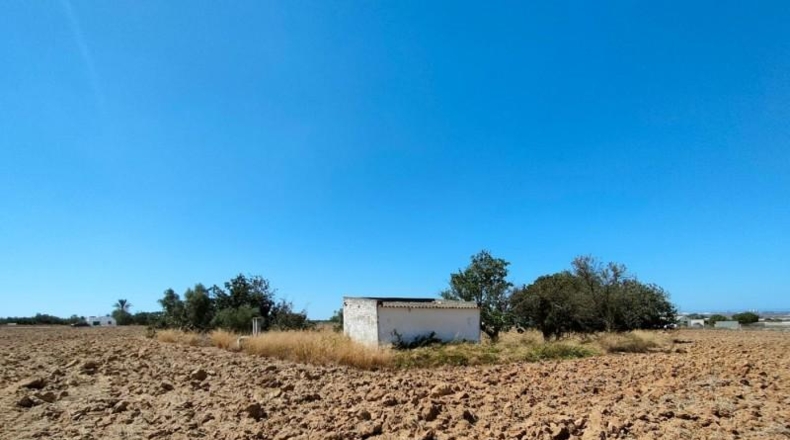 Cadiz - Пуэрто-Реаль - 33200m2