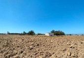 Casa de camp amb terreny en venda a la España, Puerto Real, ref.: TR353967 foto