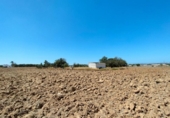 Casa de camp amb terreny en venda a la España, Puerto Real, ref.: TR353967 foto