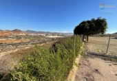 Casa de campo con terreno en venta en la España, Mazarrón, ref: TR359091 foto