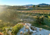 Chalet independiente con terreno en venta en la España, Novelda, ref: TR372851 foto