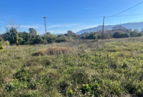 Murcia 3000&nbsp;m²
