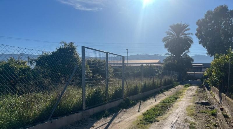 Múrcia - Murcia - 3000m2
