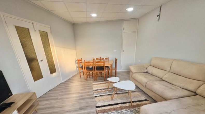 Alicante - Orihuela - 232m2