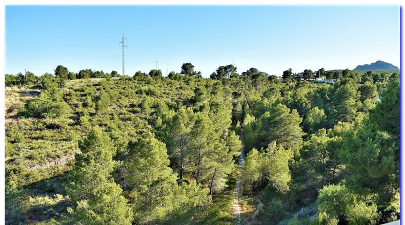 Alicante - La Nucía - 472m2
