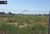 Terreny no urbanitzable en venda a la España, Elx, ref.: TR118173 foto