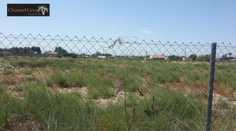 Alicante - Elche - 17000m2