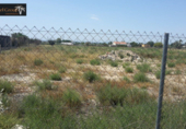 Terreny no urbanitzable en venda a la España, Elx, ref.: TR118173 foto