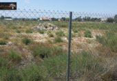 Terreny no urbanitzable en venda a la España, Elx, ref.: TR118173 foto