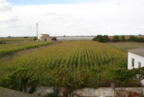 Fresno de la Vega 2000&nbsp;m²