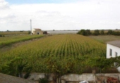 Finca rústica en venta en la España, Fresno de la Vega, ref: TR300024 foto