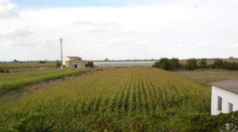 Leon - Fresno de la Vega - 2000m2