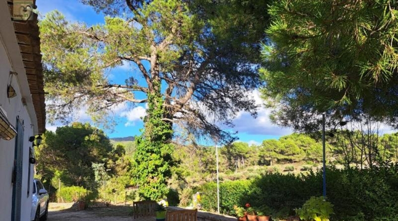 Alicante - Ibi - 39160m2