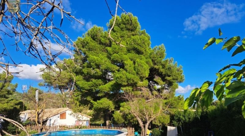 Alicante - Ibi - 39160m2