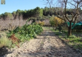 Country house with land for sale on España, Ibi, ref: TR149902 photo