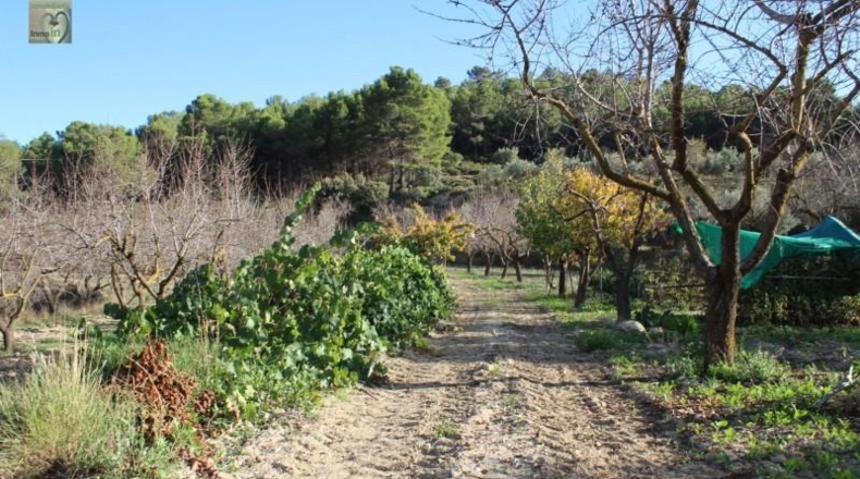 Alicante - Ibi - 39160m2