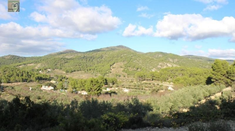 Alicante - Ibi - 39160m2
