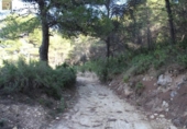 Country house with land for sale on España, Ibi, ref: TR149902 photo