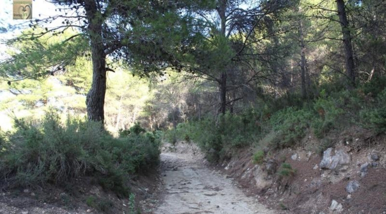 Alicante - Ibi - 39160m2