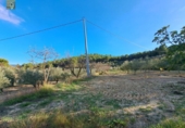 Country house with land for sale on España, Ibi, ref: TR149902 photo