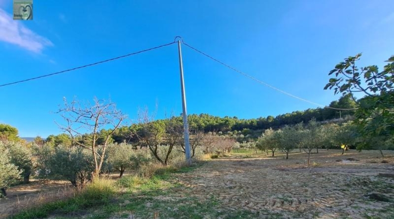 Alicante - Ibi - 39160m2