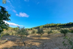 Foto 16