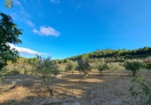 Country house with land for sale on España, Ibi, ref: TR149902 photo