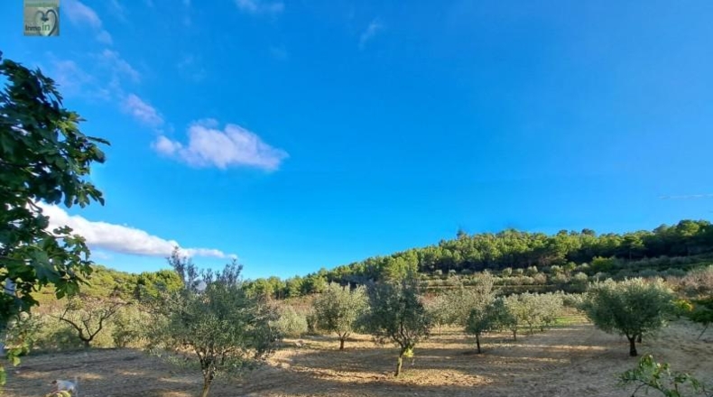 Alicante - Ibi - 39160m2