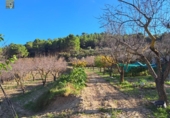 Country house with land for sale on España, Ibi, ref: TR149902 photo