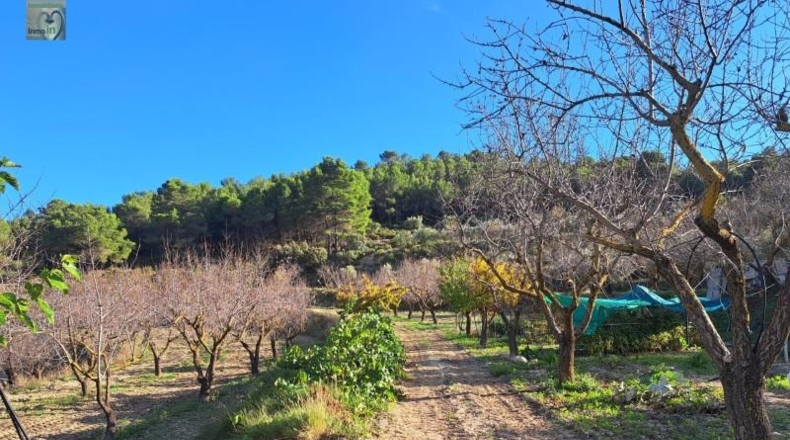 Alicante - Ibi - 39160m2