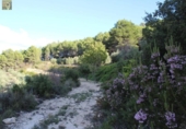 Country house with land for sale on España, Ibi, ref: TR149902 photo