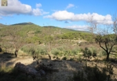 Country house with land for sale on España, Ibi, ref: TR149902 photo