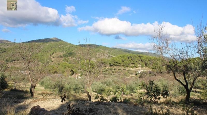 Alicante - Ibi - 39160m2