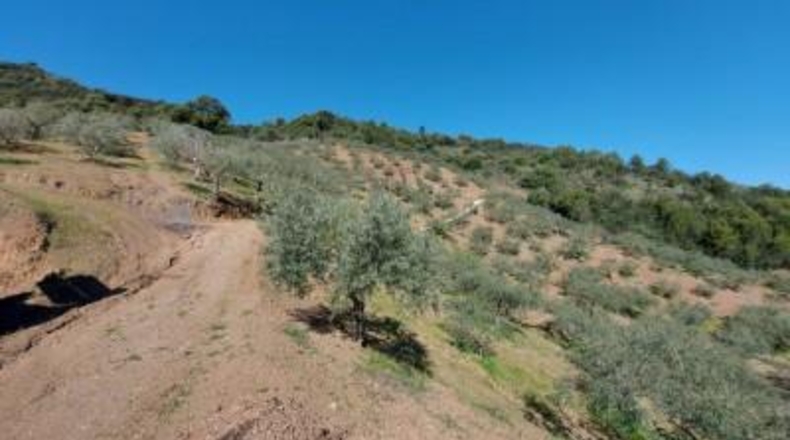 Málaga - Monda - 36230m2