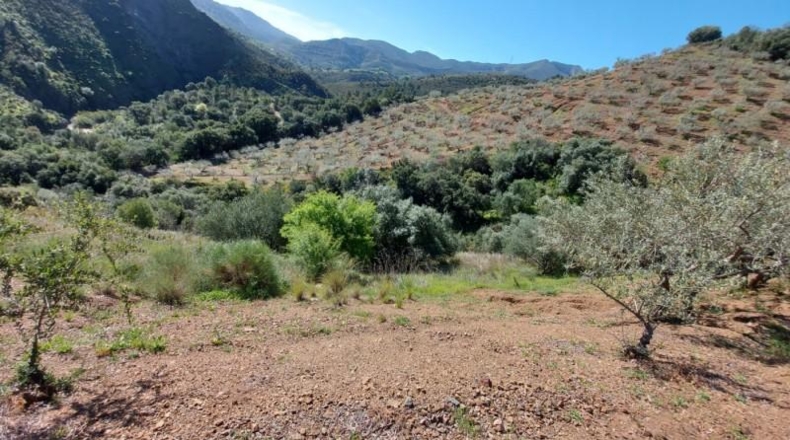 Málaga - Monda - 36230m2
