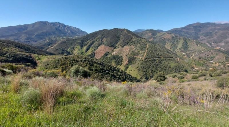 Málaga - Monda - 36230m2